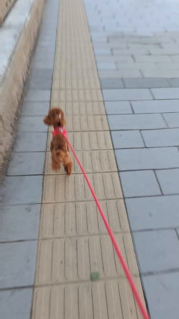 Я бегуне сбавляя шаг.mp4