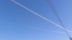 Кто быстрей до Москвы?