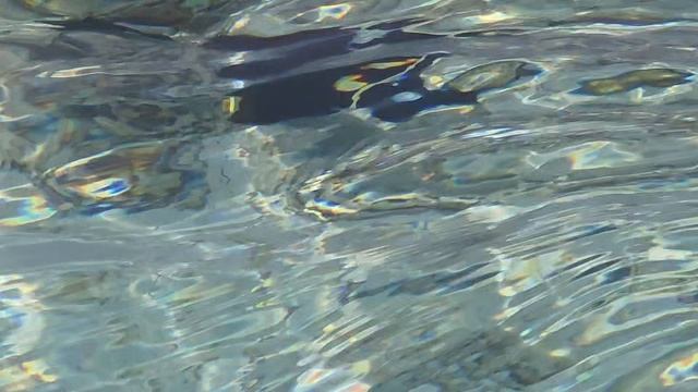 Мальдивы и море.mp4