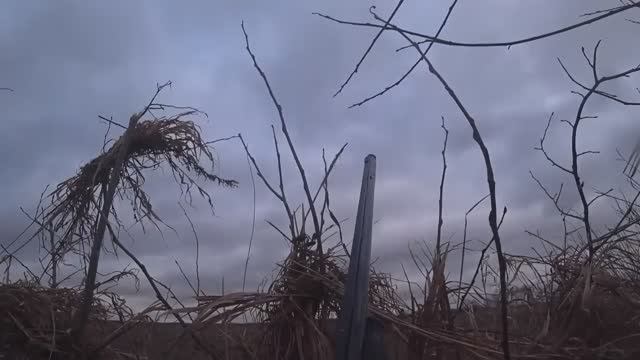 ОХОТА НА ГУСЯ ОТЛИЧНЫЙ ВЕЧЕР