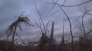 ОХОТА НА ГУСЯ, ОТЛИЧНЫЙ ВЕЧЕР