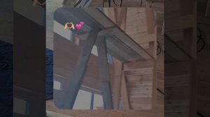 1000056286.mp4 (Собака наблюдает за устройством лестницы на 2-ой этаж в доме А-фрейм)