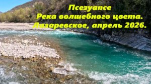 Псезуапсе. Река волшебного цвета! Лазаревское, апрель 2026.
