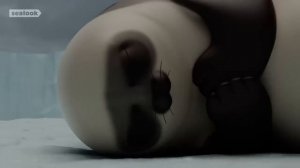 Морские Котики (SEALOOK) (7)