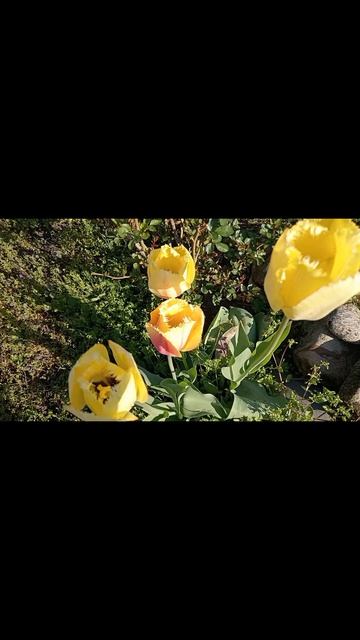 17.04.2026 год. Немного релакса в ленту.