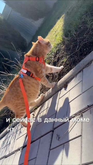 Подпишись впереди много интересного 