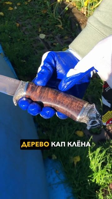 Они не вымерли — просто эволюционировали.