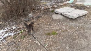 Вышли за дом.