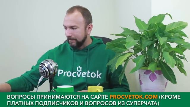 Для хорошего роста и вкусных плодов! Все о правильной подкормке растений