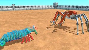 САМАЯ СИЛЬНАЯ КРЕВЕТКА МАНТИС ПРОТИВ ВСЕГО МИРА.КТО С НЕЙ СПРАВИТСЯ???