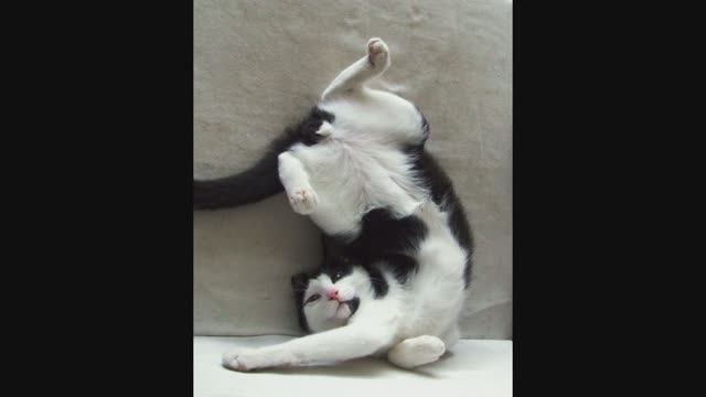 Сергей Поспелов - Besame Mucho