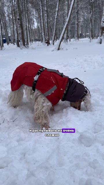 Зима или лееето?❤️🥳