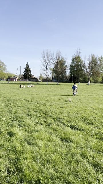 Леонид Таксович и летний вайб