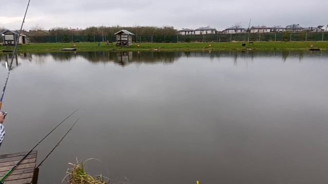 VID_20260417_110415_337