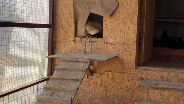 Первый день на улице