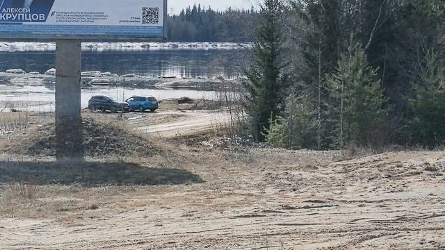 Прилетели чайки. Вопрос с камнями решила.