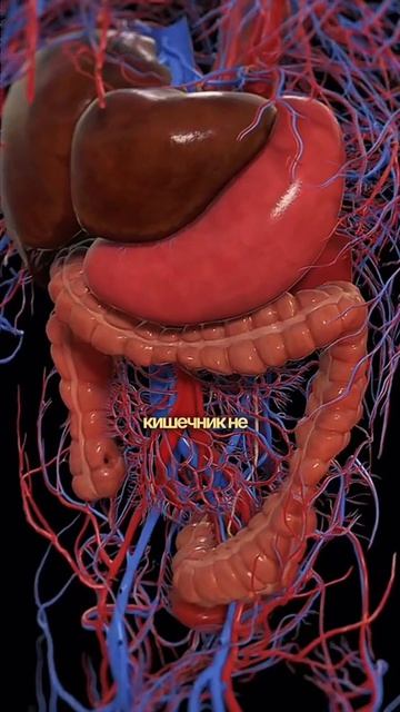 Пятна на коже? Это может быть псориаз. Хочешь контроль? Стотри бесплатную лекцию в шапке 