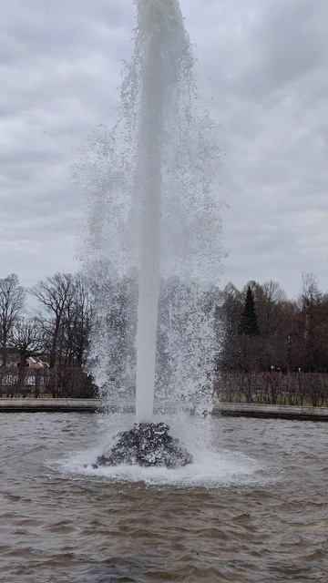 VID_20260416_165250.mp4