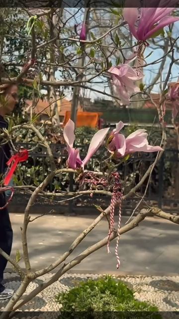 Стамбул. Апрель 2026