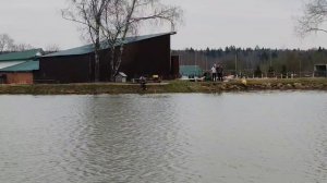 утренние поимки форели