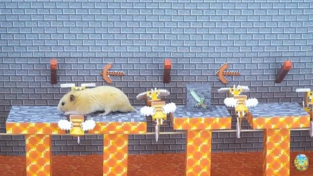 Хомячок сталкивается со свирепой акулой, убегая из лабиринта! часть 2