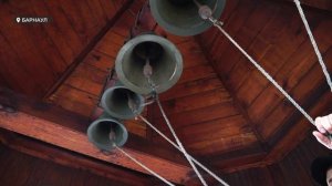 День с Толком 13.04.2026