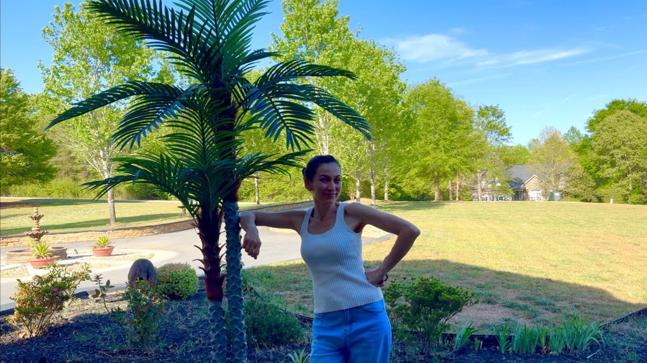 Слово Мужа Для Меня Закон | Купила Самую Красивую Пальму В Мире 🌴😎 | Семейный Влог Эгине