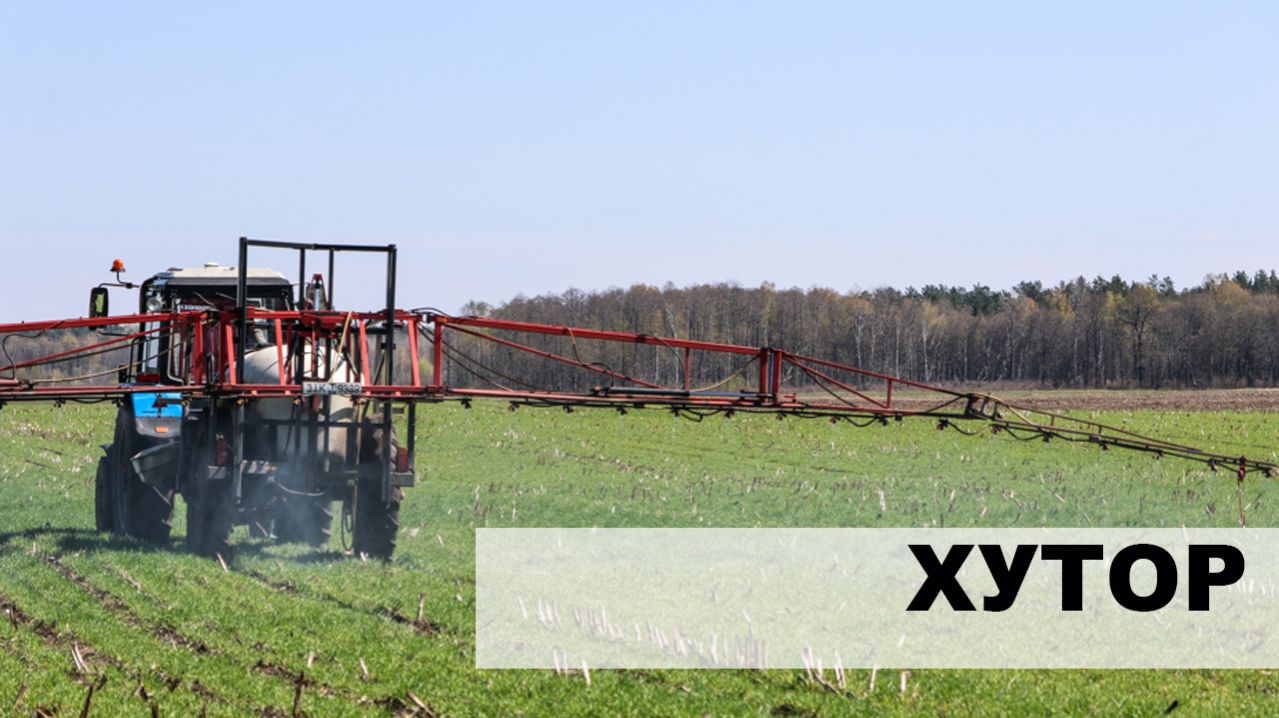 На очереди – кукуруза