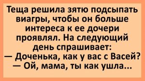 Анекдоты | Тёща подсыпала зятю виагру... | Анекдоты смешные | Юмор