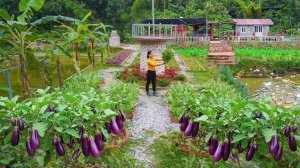 Сбор урожая овощей с фермы для продажи торговцам. Покупаю утят для выращивания. Серия 91. Ли Фук Ви