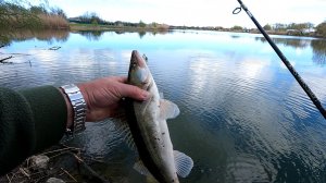 Джиг спиннинг,степная речка,Судаки,разведка участка реки,ливень застал нас в поле,Нива это что-то!!!