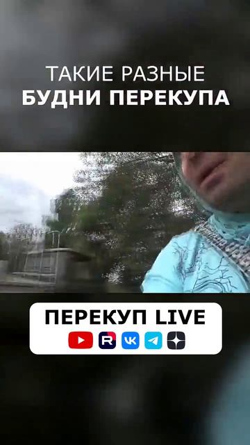Такие разные БУДНИ ПЕРЕКУПА!