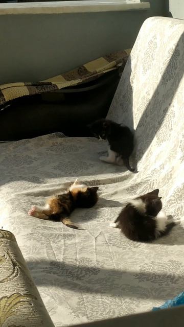 Уроки прошлого: забвение и тоска #память #прошлое #печаль