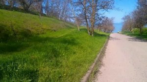 Вода чистая в заливе!