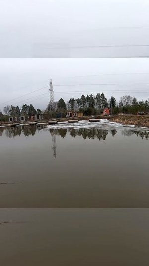 КАК ЛОВИТЬ ФОРЕЛЬ КРАСИВО  #рыбалка #fishing #norstream
