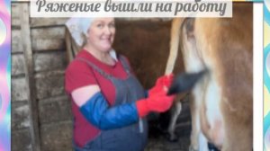 Циркачи  вышли на арену