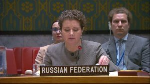 Выступление А.М.Евстигнеевой в СБ ООН по Южному Судану