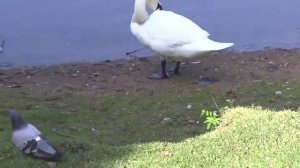 Весна в Москве