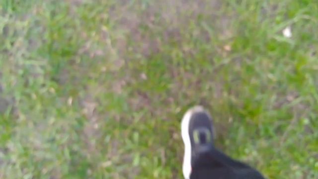 влог с реборном Алисой на улице