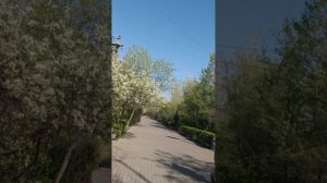 Пошла устранять брак по шилаку.