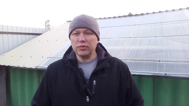 38 против плана творца  2026.