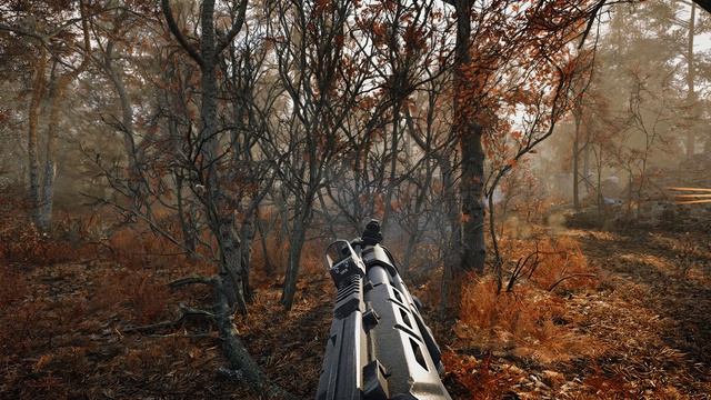 STALKER 2 В Рыжий лес