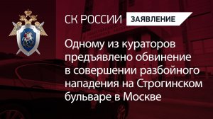 Одному из кураторов предъявлено обвинение в совершении разбойного нападения в Москве