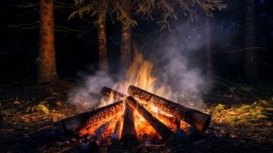 Заснёшь за 5 минут 🔥 1 час звука костра без рекламы