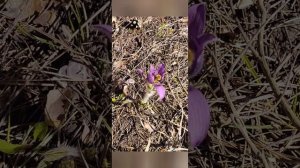 Прекрасный день