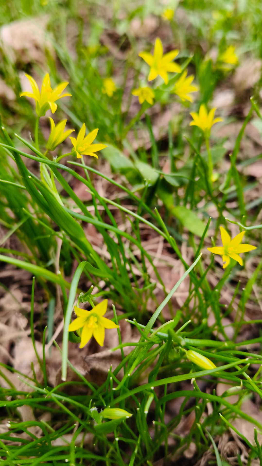 Апрель в Елатьме
