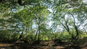 Вода водичка