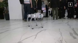 🧹Искусственный интеллект: друг, соперник или проводник в будущее? Фестиваль робототехники в ДНР!