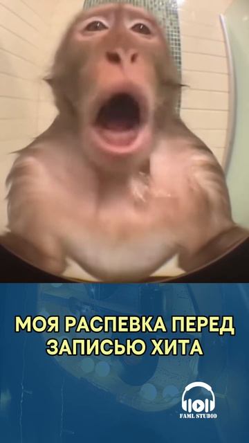 Моя распевка перед записью хита