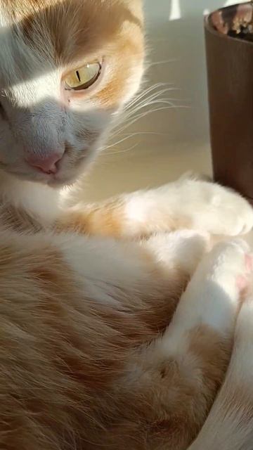 17 апреля 2026 г.